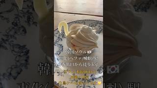 【韓国ソウルカフェ】カフェキイロで白鳥ケーキ #singersongwriter #アーユルヴェーダ #韓国旅行 #citypop #韓国カフェ