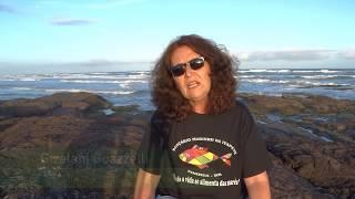 Refúgio de Vida Silvestre Ilha dos Lobos - Formação de Conselho Gestor