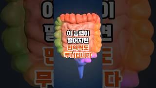 이 능력이 떨어지면 면역력도 무너집니다 #건강정보 #건강관리 #소화불량 #면역력 #루틴관리 #웰니스루틴