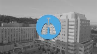 Lungs and Chest Pillar - Video Update