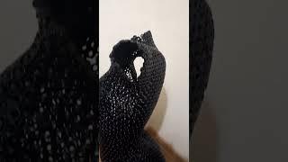 Скульптура из гаек женская
