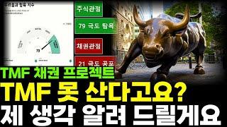 테슬라 TQQQ SOXL TMF 미국주식 TMF "못산다" 고요? 제 생각 알려 드릴게요.  ( TMF 채권 프로젝트, 관점의 차이  )