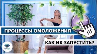 Процессы ОМОЛОЖЕНИЯ! Как ИХ запустить?