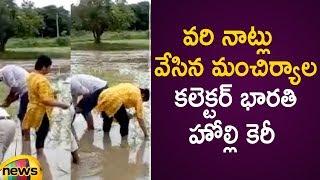 Mancherial Collector Bharati Hollikeri Participates in Farming Activities | Telangana | Mango News