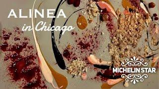  ALINEA Restaurant | Michelin 3-Star Dining Experience 2022