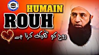 Rouh Ko Thek Karna Hai | The Way of islam Official | Saeed Anwar bayan