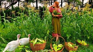 Summer in Rural Iowa  Canning Corn, Pizza Recipe, Hanging Laundry  ASMR