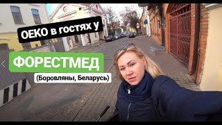 OEKO в гостях у медицинского центра ФОРЕСТМЕД в Боровлянах.