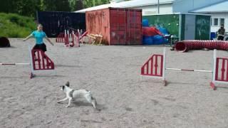 Elisa Nuutinen ja Kiki harjoittelevat helpolla radalla.