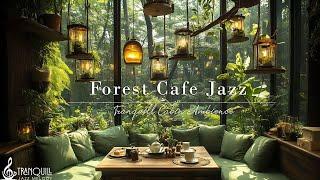 Forest Cafe Jazz Music | Morning Tranquill Jazz With Nature Therapy For Stress Relief, Study & Wo...