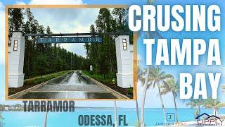 Cruising Tampa Bay | Tarramor | Odessa, Florida