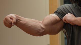 The Bulk Day 108 - Forearms and Calves - Work a Muscle To Grow a Muscle