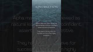 Unleashing Untold Alpha Male Secrets