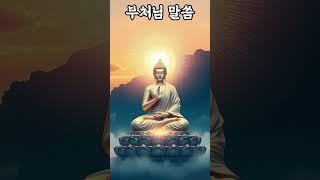 버려졌다고 느낄 때#부처님말씀 #부처님명언 #불교명언