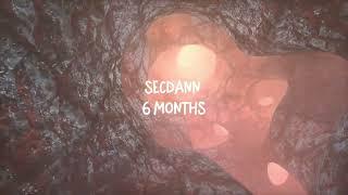 SecDann - 6 Months (Prod. Autrioly)