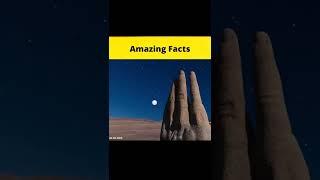 Top 3 Amazing Facts Awesome @MR. INDIAN HACKER @Crazy XYZ || #shorts || #FactBeast