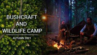 Bushcraft ve Yaban Hayatı Kampı /4 Aydır Duran Fotokapanları Topladık / Bushcraft And Wildlife Camp