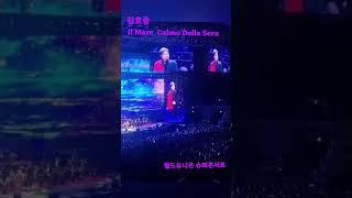 김호중테너 마지막 콘서트중에서  #김호중 _Il Mare Calmo Della Sere_유니온 콘서트 #kimhojoong #tvarotti #shorts