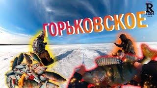 Секретная точка спасла рыбалку! Тут клюет на все! Горе Море, Обжериха