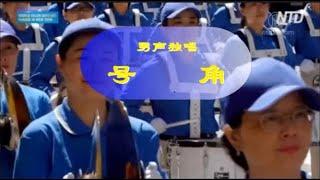 【颂师恩】音乐视频：号角（男声独唱）