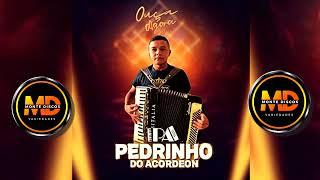 PEDRINHO DO ACORDEON SÓ SOLO