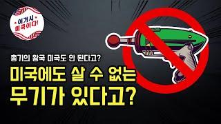 총기의 왕국 미국에도 살 수 없는 무기가 있다고?