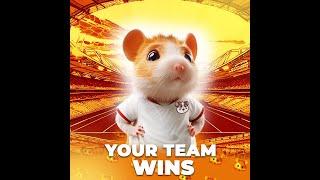 HamsterStore Launch: Act Now! Grab This Must-Have Card Before It's Gone!"