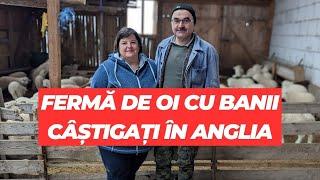 Soții Merlușcă și-au făcut fermă cu banii câștigați în Anglia