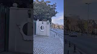 Emirgan korusu