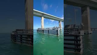 Sailing to Marathon - under the 7 mile bridge Pt 1 #sailinglife