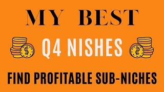 My Best KDP Q4 Niches | How To Niche Down And Find Profitable KDP Sub Niches