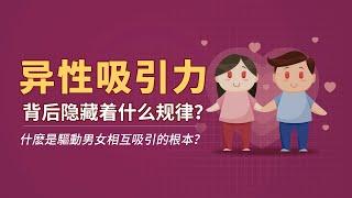 异性吸引力背后隐藏着什么规律？什么是驱动男女相互吸引的根本？| 异性缘 | 两性关系 | 吸引力 |