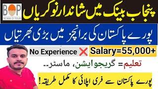 BOP Latest jobs update|How to apply for BOP Collection Officer Jobs|Banking jobs