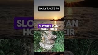 Mind-Blowing Facts That'll Blow Your Mind! #9 #amazingfacts  #crazyfacts  #didyouknow