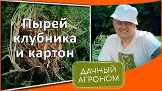 Как мы избавляемся от сорняков 5 ПРОСТЫХ ПРАВИЛ Дачного агронома