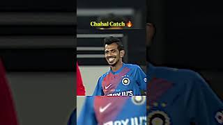 Wait for Chahal catch  #shorts #cricket #trending
