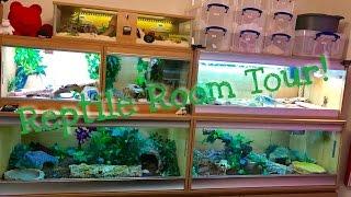 REPTILE ROOM (NOVEMBER 2016) NEW ANIMALS AND HUGE UPDATE!