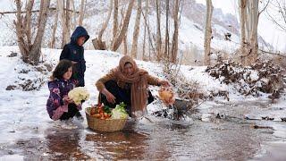 Grandma & Children Cooking Organic Food in Freezing Cold Weather |Afghanistan Village life in Winter