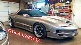 WS6 - Mighty Mouse Catch Can Install! Lost Parts FOUND & BIG Channel Announcement!