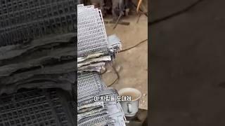 아무도 몰랐습니다 이 작업의 진짜 정체.