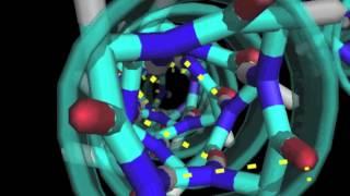 Alpha helix basics