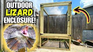 DIY Outdoor Lizard Enclosure for a FRILLED DRAGON! (PART 1)