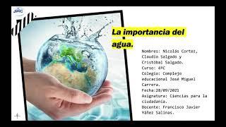 La importancia del agua