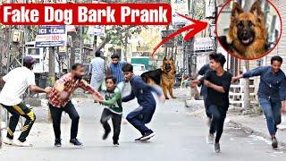 Fake Dog Bark Prank @ThatWasCrazy