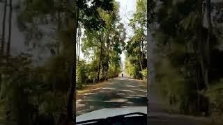 Road To Darjeeling ️| Darjeeling Shorts | Kings & Queens