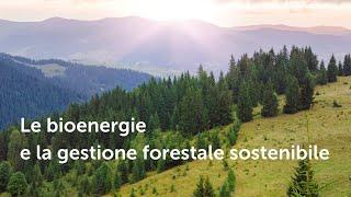 Le bioenergie e la gestione forestale sostenibile