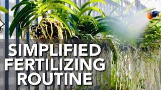 MY SIMPLIFIED FERTILIZING ROUTINE | How & When To Fertilize Orchids | Orchid Fertilizer Mixture