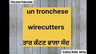 LearnItalian Language In Punjabi ||Sentences (DailyUses EasyWords) #italianlanguagelearning #study