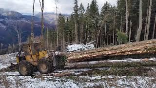 SKIDDER LKT 81 T