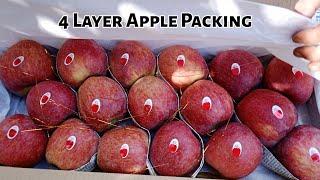 Apple  packing in kashmir|4 Layer Box|Apple production line in Kashmir|Apple juice production line